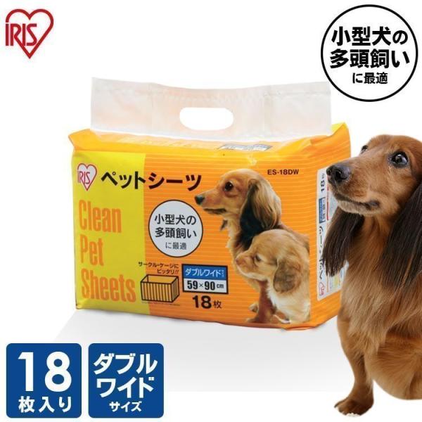 PgybgV[c _uCh 18 ACXI[}