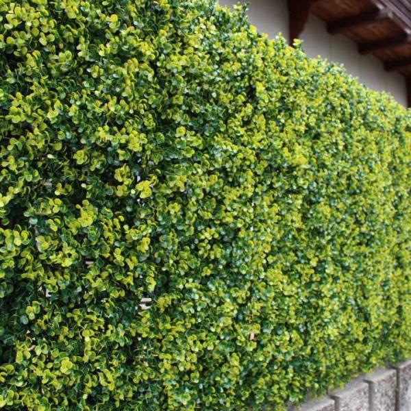 AO[tFX {bNXEbh tan-748 (s)(TD)