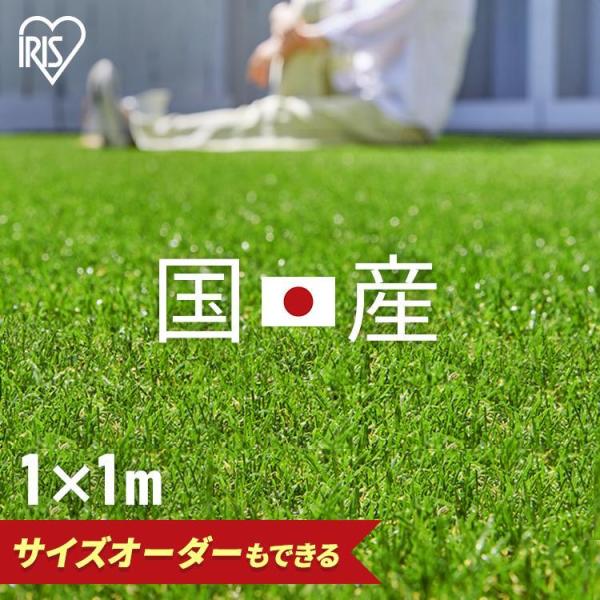 ※リニューアルにともない商品仕様が変更となる場合がございます。 ※こちらの商品は釘が付属しておりません。  お庭やベランダなど、広い場所にも敷きやすく、継ぎ目が目立ちにくい人工芝です。  こだわりの質感で、天然芝のような触り心地。 3種類の...