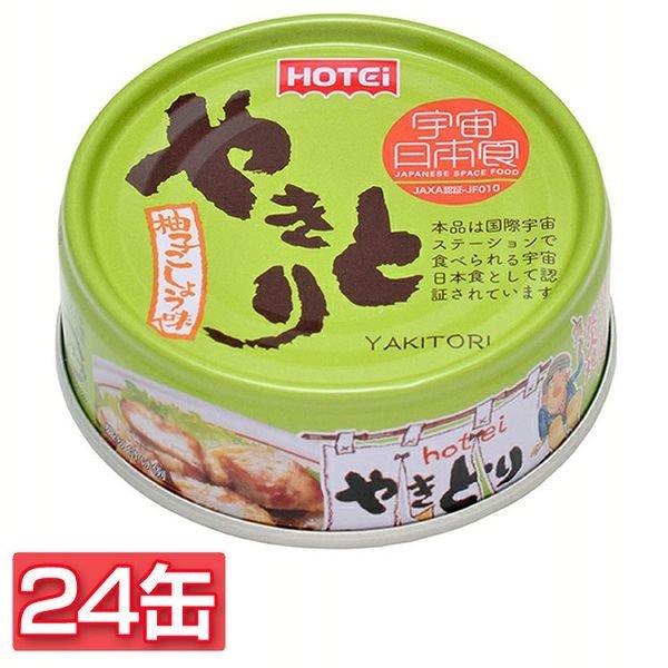 (24)₫Ƃ Mq傤 zeCt[Y (D)