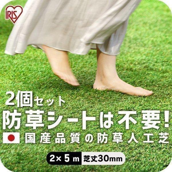 人工芝 2m ロール 幅2m 2個セット 2m×5m 芝丈30mm 防草 防草人工芝