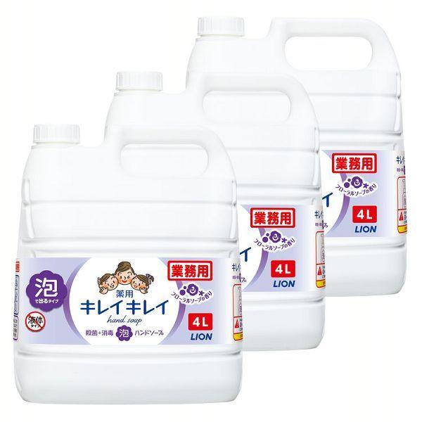 (3)LCLCpAnh\[v t[\[v̍ 4L (D)