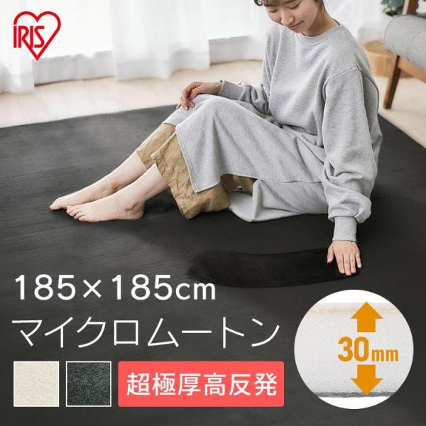 IRIS OHYAMA（アイリスオーヤマ） ラ・クッションラグ マイクロ