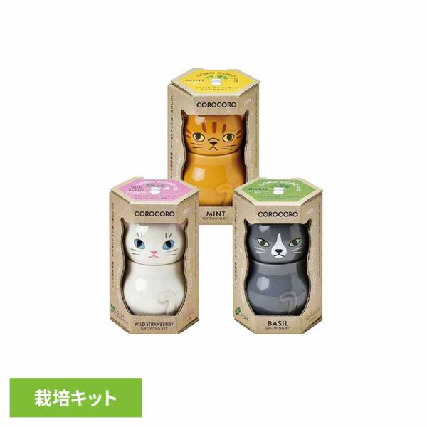 （検索用：栽培キット 栽培セット ミント バジル ワイルドストロベリー 聖新陶芸 COROCORO インテリア 陶器 SEISHIN 4528757042051 4528757042044 4528757042037）●翌日優良配送対象商品...