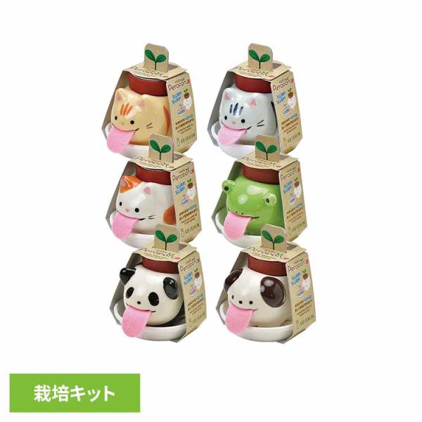 （検索用：栽培キット 栽培セット クローバー バジル ミント ワイルドストロベリー animals cats 陶器 聖新陶芸 インテリア SEISHIN 4528757039631 4528757039624 4528757039617 4...