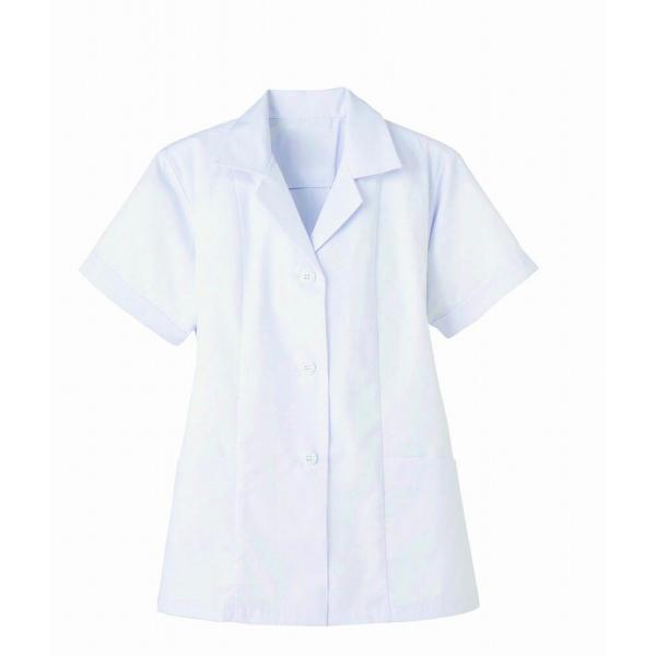  FA337 R fB[X HX jtH[     O ~[ ~[ ܕt SerVo