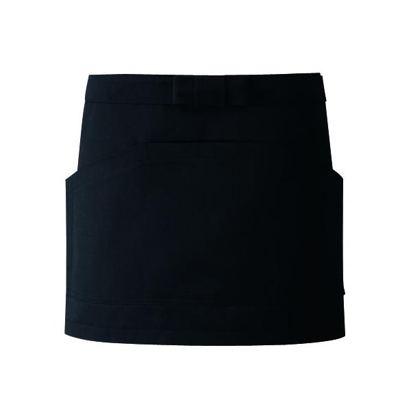 Gv BA-1543 jp HX jtH[ T[H