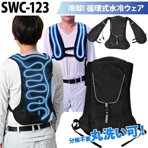 uniform100ka_006-swc123