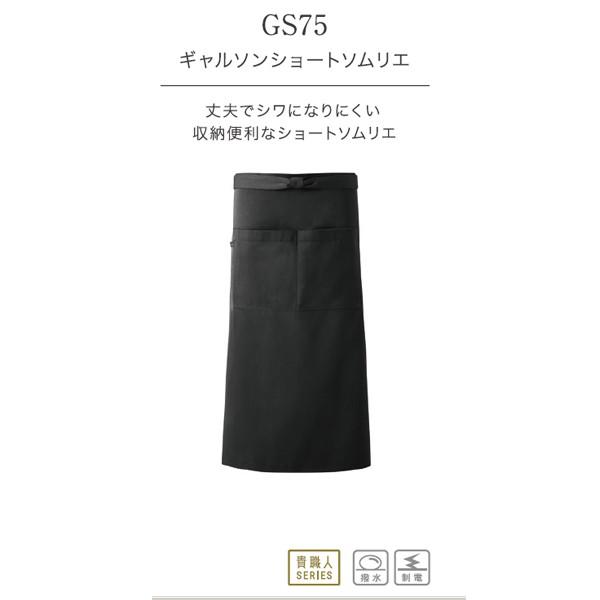 h vŃVɂȂɂ M\ V[g \G Gv Y { jp Ɩp jtH[ ~[ gs75 ẑ