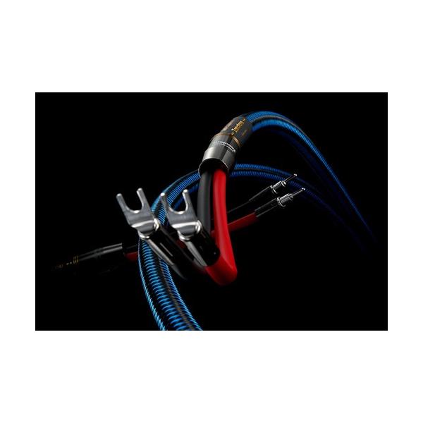 Zonotone 7NSP-Shupreme X iiY/B[qt2.0mj Xs[J[P[u yA[Ki]