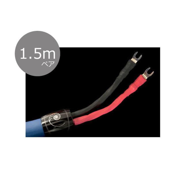 y[ڈF2`3TԁzCARDAS J_X Clear BeyondiNArhjXs[J[P[u  Spade 1.5myA