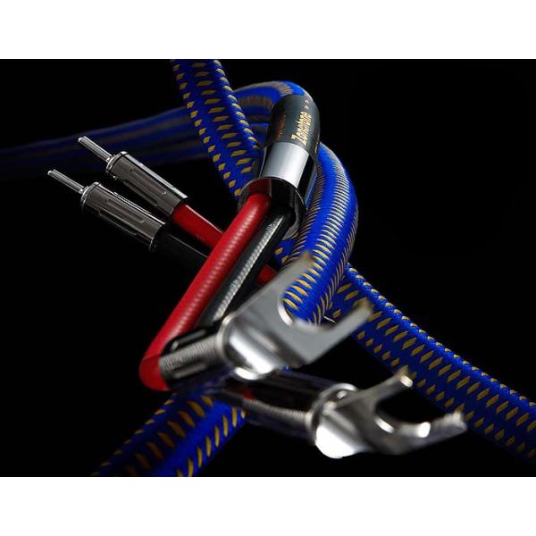 Zonotone Royal Spirit SP-1iY/B[qt2.0mj Xs[J[P[u yA[Ki]