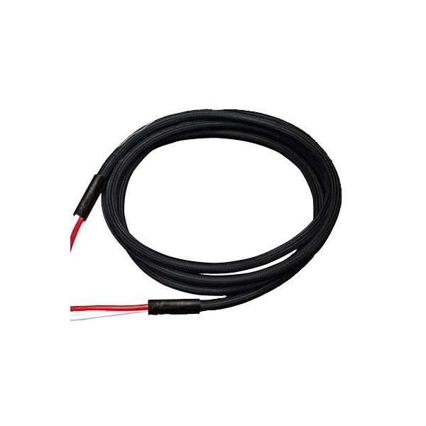 SAEC SP-10B-B 2m TGN Xs[J[P[u