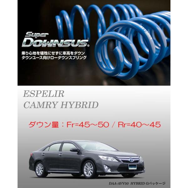 chemical 70 カムリ エスペリア ダウンサス AXVH70 RS-R_RS☆R DOWN]AXVH70 カムリ_WSレザーパッケージ(2WD_2500