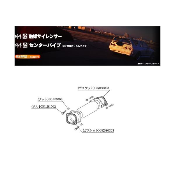 柿本_改]GF-BNR34 スカイライン_GT-R(RB26DETT / 2.6 Twin-Turbo_H11