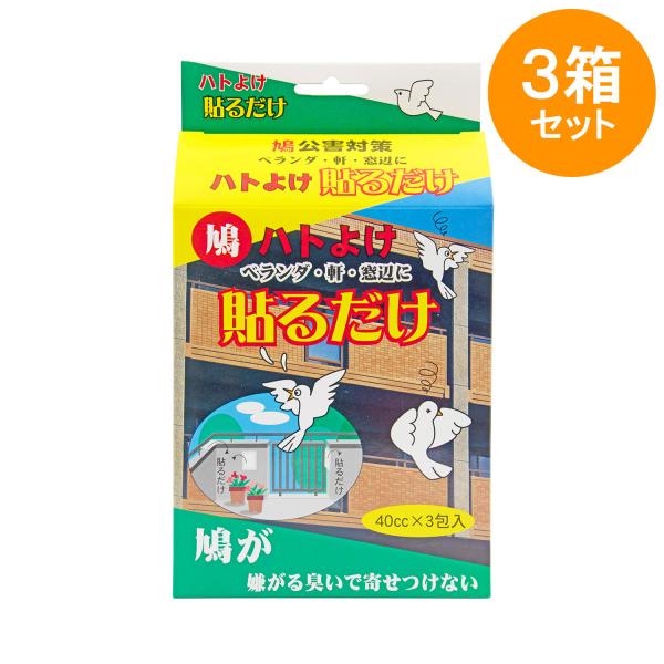 ng悯\邾 40cc×3 3Zbg (9)  | V[g^Cv x_ ΍ ng t   