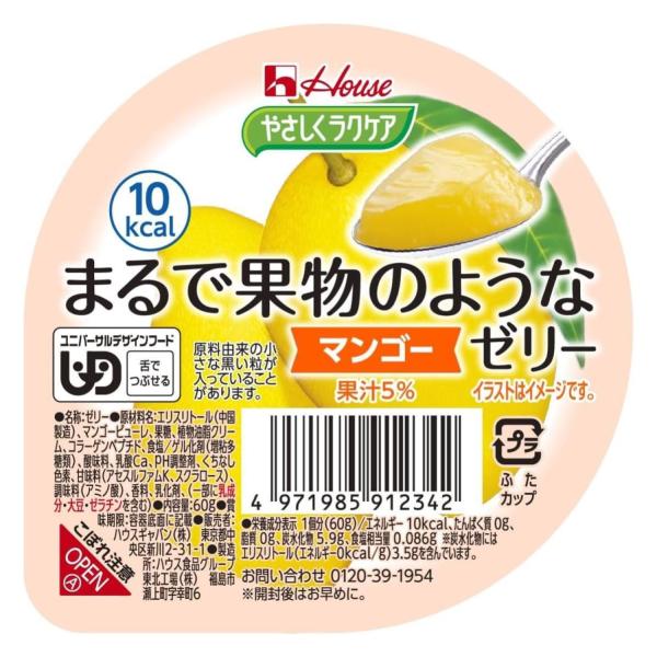 ハウス やさしくラクケア まるで果物のようなゼリー マンゴー 60g 48個