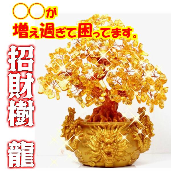 風水 置物 招財樹 黄水晶 龍 竜 ドラゴン シトリン 金のなる木 財運 健康 仕事 動物 金運 トイレ 外 玄関 リビング 寝室 Sia014 Buyee Buyee Japanese Proxy Service Buy From Japan Bot Online