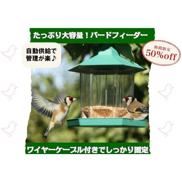 バードフィーダー 自動供給 屋根付き 大容量 餌台 楽 洗える メンテナンス エサ台 鳥 野鳥 餌台 庭 ガーデニング 餌入れ ベランダ 餌 スズメ メジロ Sia024 Buyee Buyee Japanese Proxy Service Buy From Japan Bot Online