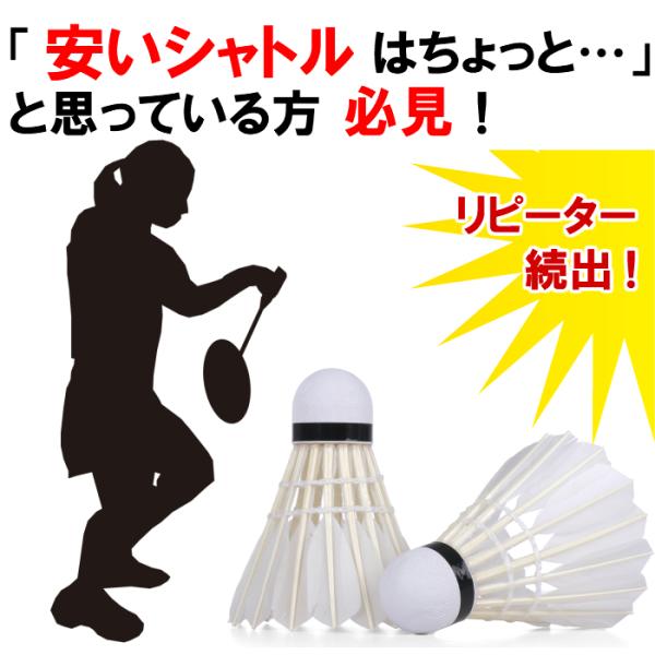 バドミントン シャトル 練習用 10ダース 120球 （初心者 中学生