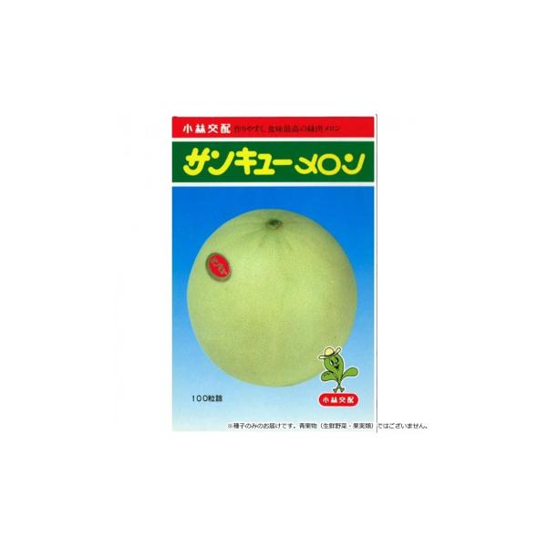 小林種苗 メロン種子 サンキュー　8132　小袋(7粒)