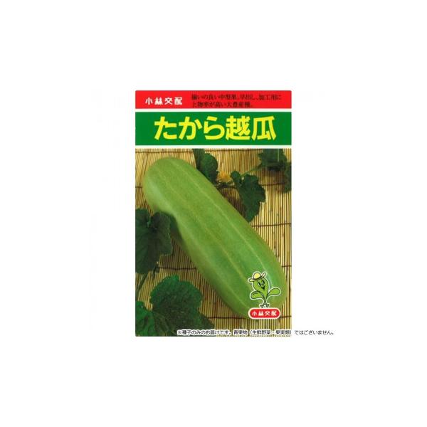 小林種苗 シロウリ種子 たから越瓜?　8140　小袋(20粒)