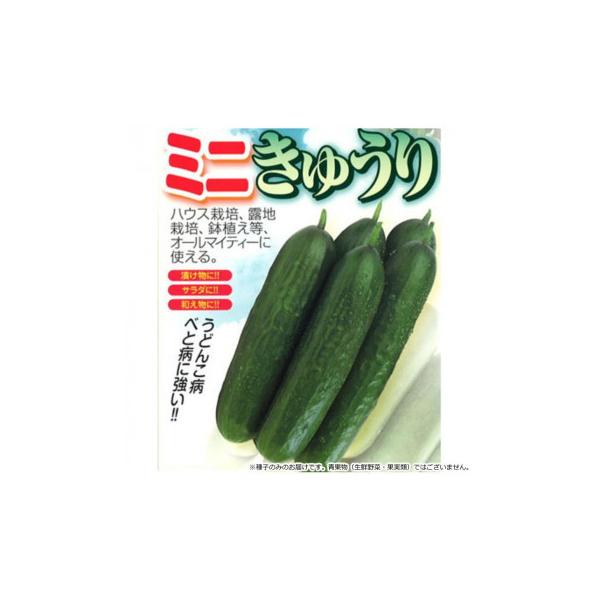 小林種苗 キュウリ種子 小次郎　1　小袋(6粒)