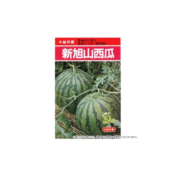 小林種苗 スイカ種子 新旭山西瓜　2　小袋(8粒)
