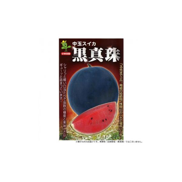 小林種苗 スイカ種子 黒真珠　23　小袋(6粒)