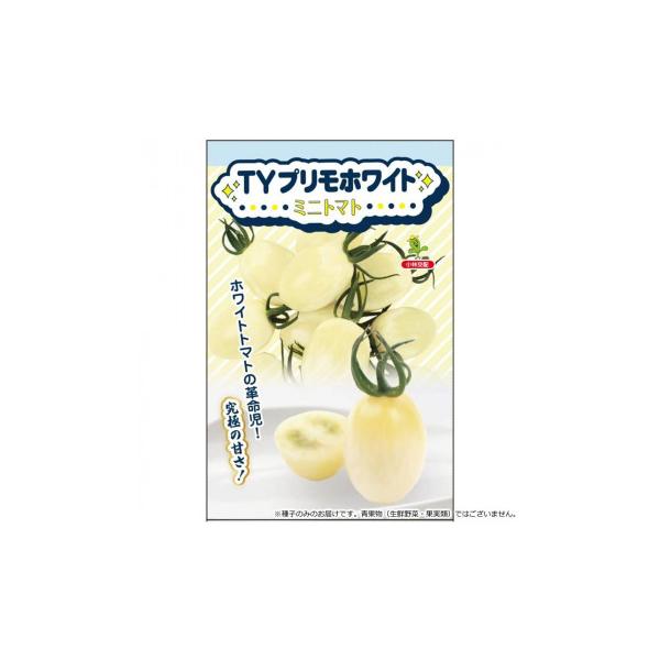 小林種苗 ミニトマト種子 TYプリモホワイト　6832　小袋(7粒)