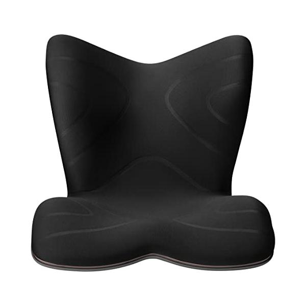 他サイト： スタイル プレミアム シリーズ/Style PREMIUM Series MTG エムティージー 骨盤サポートチェア 座椅子 ミーティングチェアの商品画像