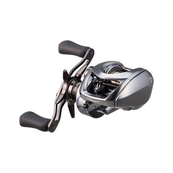 ダイワ(DAIWA) ベイトリール スティーズリミテッド CT SV TW