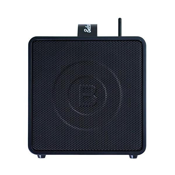 Belcat xLbg CX|[^uPAZbg 30W `l֑ؑΉf BWPA-30W (CX}CN1{/Xs[J[X^h/LOP[Xt)