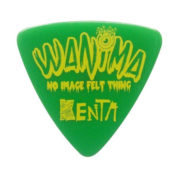 ESP KENTA / WANIMA PICK(GR)×10Zbgyz