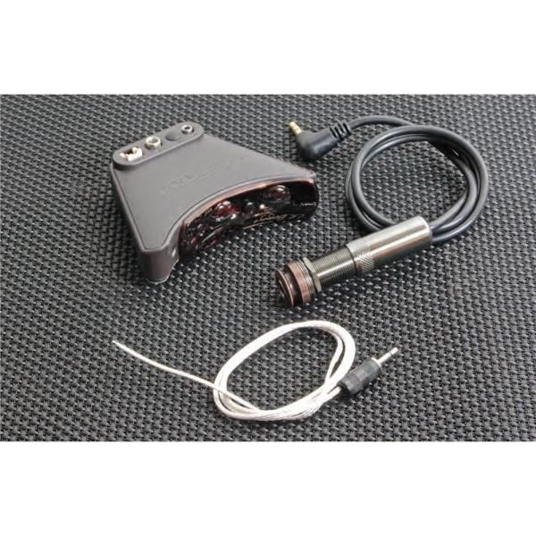 L.R.Baggs Session-VTC AR[XeBbNM^[ sbNAbvVXe