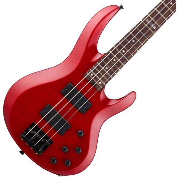 ESP x ohI BTL LISA BanG Dream! Roselia 䃊Tf GLx[X
