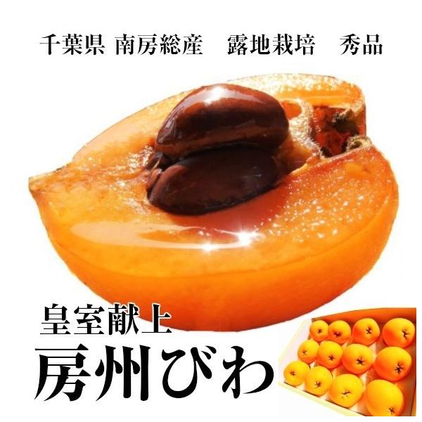 房州びわ 3Lサイズ 『皇室献上』 露地栽培 12玉 化粧箱入り【父の日ギフト】【父の日カード】【お中元】【御中元】【本州送料無料】