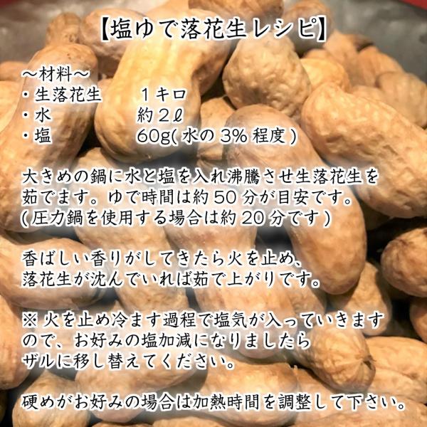 令和元年新豆 千葉県産ジャンボ生落花生 おおまさり 3kg詰め 茹で落花生レシピ付き Buyee Buyee Japanese Proxy Service Buy From Japan Bot Online