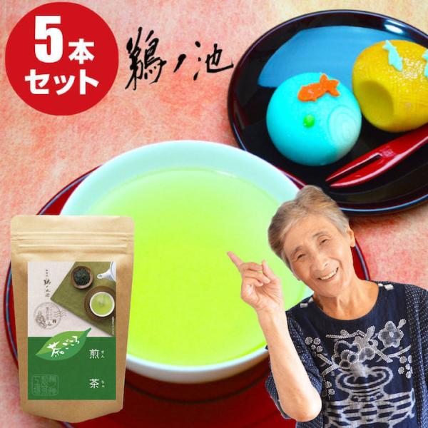 新茶 2026 お茶 八女茶 水出し 緑茶 煎茶 茶葉 深蒸し茶 日本茶 カテキン 80g 5袋セット 400g  茶ごころ お中元 ギフト プレゼント