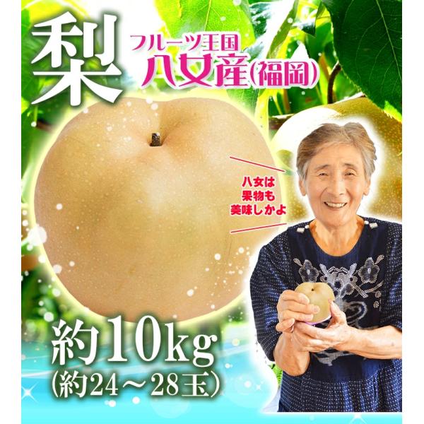 福岡県八女産の美味しい梨です。2品種からお選びいただけます。梨 なし ナシ 約10kg  幸水 豊水
