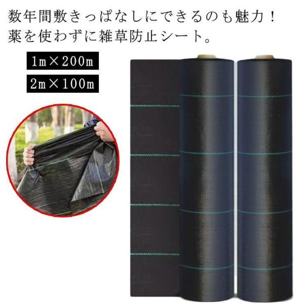 防草シート 1m×100m雑草防止シート ぼうそうシート 雑草 シート 田んぼ 畑 休耕田 庭 駐車場 ビニールハウス 砂利や人―THKJ