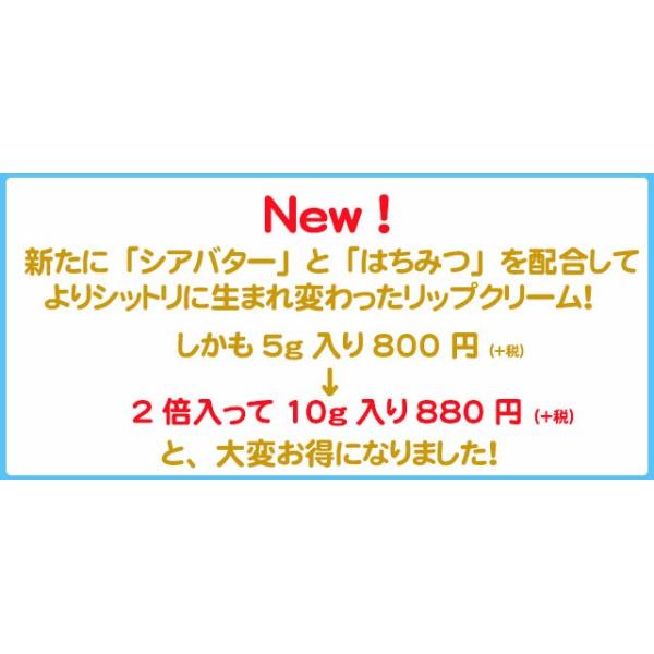 無添加手作りリップクリーム アンティアン リップバーム 10g 冬季限定商品 Buyee Buyee Japanese Proxy Service Buy From Japan Bot Online