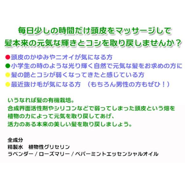 アンティアン 無添加手作り ヘッドスパ スカルプマッサージローション 300ml Buyee Buyee Japanese Proxy Service Buy From Japan Bot Online