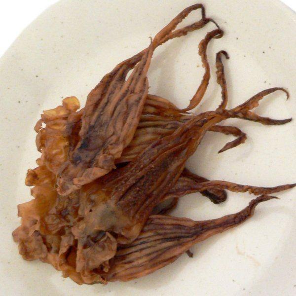 自然の味そのまんま 国産 黒酢の酢いか 51g 5719 静岡魚茶 しずおかウォッチャー 通販 Yahoo ショッピング