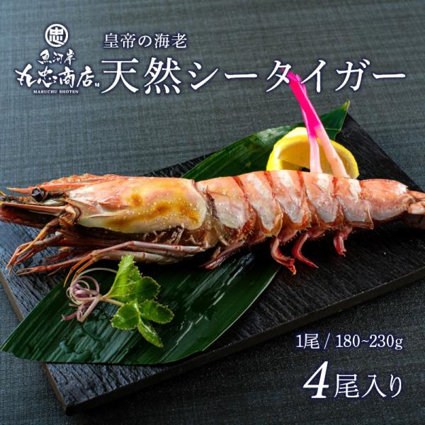 uogashi-maruchu_4573591210456 uogashi-maruchu_4573591210456