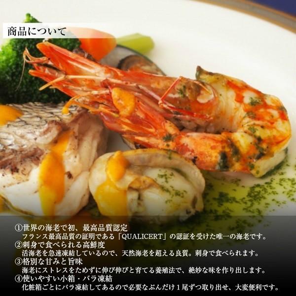 冷凍 30尾 エビ えび 1kg 刺身 えび その他種類のエビ 天使の海老 海老 フライ 海老 生食 3個セット 御歳暮 御中元 ギフト お中元 お歳暮 040 ウオイチヤフー店