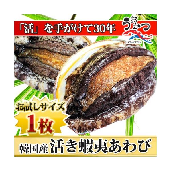 名称・内容量・サイズ：活蝦夷あわび（50g前後）1枚賞味期限：２日間(活物なので早めにご賞味下さい) 死亡した場合はボイルなど調理するか、冷凍してください。保存方法：10℃以下で保存（要冷蔵）原材料・産地：活蝦夷あわび 韓国（ワンド）産商品...