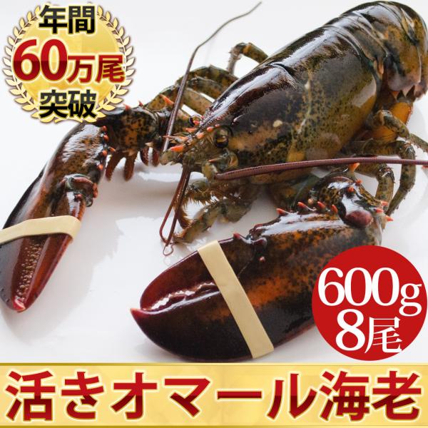 uokatsu_10000608