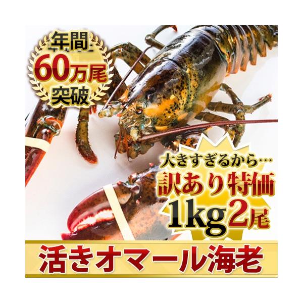 ブロンズ　海老　ロブスター　紙鎮　置物　在銘　約476g　M　R8551 ブロンズ 海老 ロブスター 紙鎮 置物 在銘 約476g M R8551