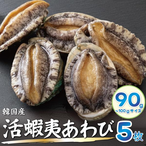 活蝦夷あわび (80/90g) 5枚 鮑 アワビ 活き 刺身用 刺身 海鮮 BBQ ギフトにも最適 新鮮 海鮮 韓国養殖 活アワビ【活きたままお届け！】送料無料